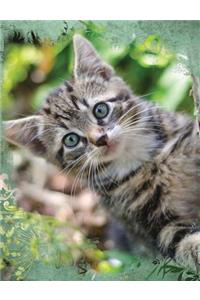 Cute Tabby Cat Composition Notebook, Blank Sketch Paper