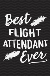 Best Flight Attendant Ever