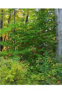 School Composition Book Nature Late Fall Season 130 Pages