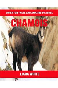 Chamois
