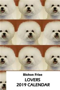 Bichon Frise Lovers 2019 Calendar