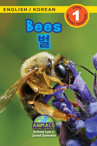 Bees / 벌