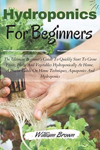 Hydroponics for beginners