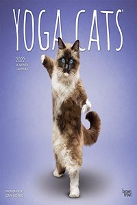 Yoga Cats 2022 Square