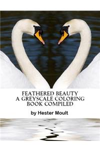 Feathered Beauty