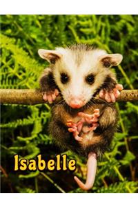 Isabelle