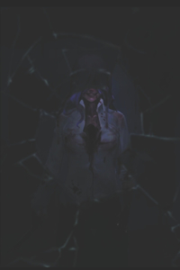 A Heart of Broken Glass