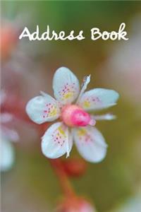 Address Book.: (Flower Edition Vol. C77) Glossy And Soft Cover, Large Print, Font, 6" x 9" For Contacts, Addresses, Phone Numbers, Emails, Birthday And More.