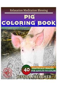 PIG Coloring book for Adults Relaxation Meditation Blessing