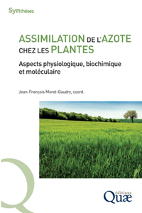 Assimilation de l'azote chez les plantes: Aspects physiologique, biochimique et moléculaire