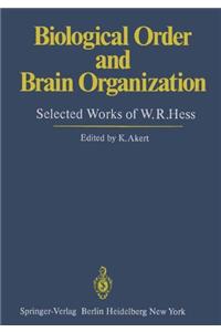 Biological Order and Brain Organization