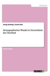 Demographischer Wandel in Deutschland. Ein Überblick