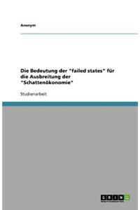 Die Bedeutung der failed states für die Ausbreitung der Schattenökonomie
