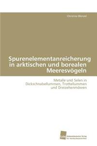 Spurenelementanreicherung in arktischen und borealen Meeresvögeln