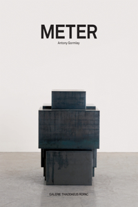 Antony Gormley: Meter