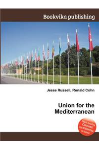 Union for the Mediterranean