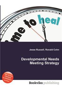 Developmental Needs Meeting Strategy