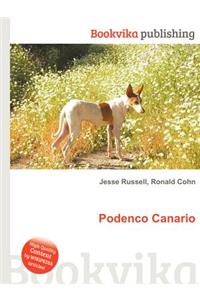 Podenco Canario