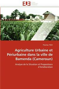 Agriculture urbaine et périurbaine dans la ville de bamenda (cameroun)