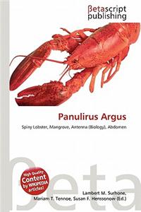 Panulirus Argus