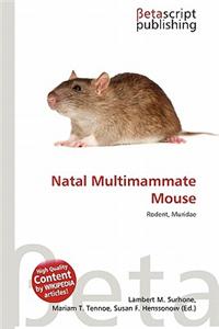 Natal Multimammate Mouse