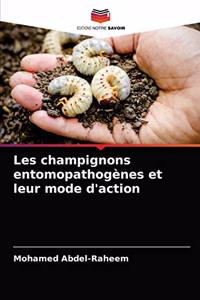 Les champignons entomopathogènes et leur mode d'action