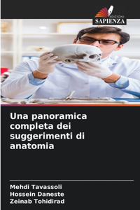 panoramica completa dei suggerimenti di anatomia