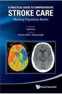 Practical Guide to Comprehensive Stroke Care, A: Meeting Population Needs