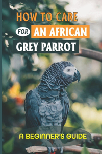How To Care For An African Grey Parrot