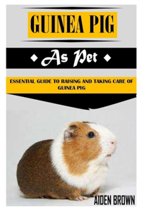 Guinea Pig as Pet