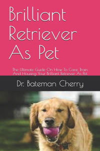 Brilliant Retriever As Pet