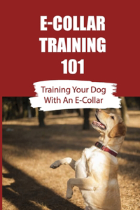 E-Collar Training 101