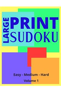 Large Print Sudoku Volume 1