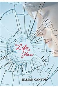 The The Life of Glass Life of Glass