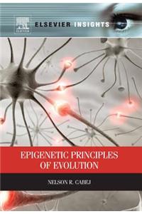 Epigenetic Principles of Evolution