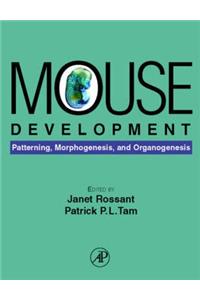 Mouse Development