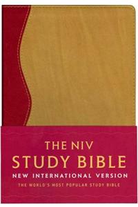 NIV Study Bible Soft-Tone