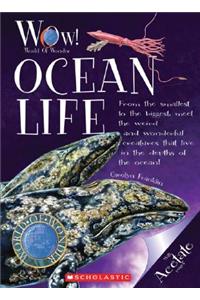 Ocean Life