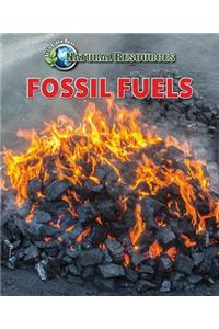 Fossil Fuels