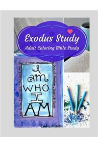 Adult Coloring Bible Study