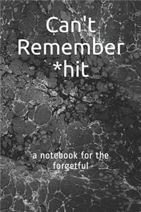 Can't Remember *hit