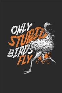 Only Stupid Birds Fly