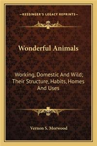 Wonderful Animals