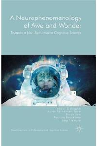 Neurophenomenology of Awe and Wonder