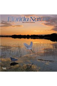 Florida Nature 2019 Square Foil