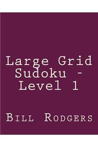 Large Grid Sudoku - Level 1