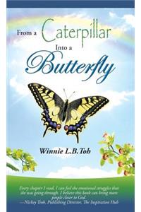 From a Caterpillar into a Butterfly