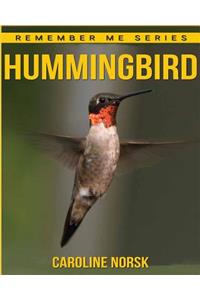 Hummingbird