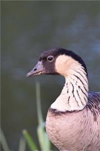 Hawaii State Bird - Nene or Hawaiian Goose Journal
