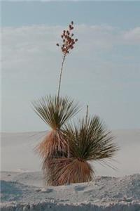Soaptree Yucca Plants at White Sands National Monument New Mexico Journal